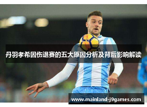 丹羽孝希因伤退赛的五大原因分析及背后影响解读