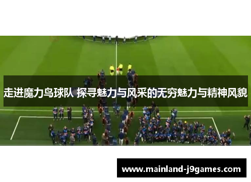 走进魔力鸟球队 探寻魅力与风采的无穷魅力与精神风貌