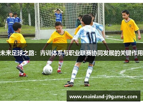 未来足球之路：青训体系与职业联赛协同发展的关键作用